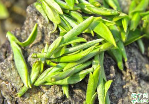 龙井茶可以清火吗 肠胃不好喝龙井茶好吗