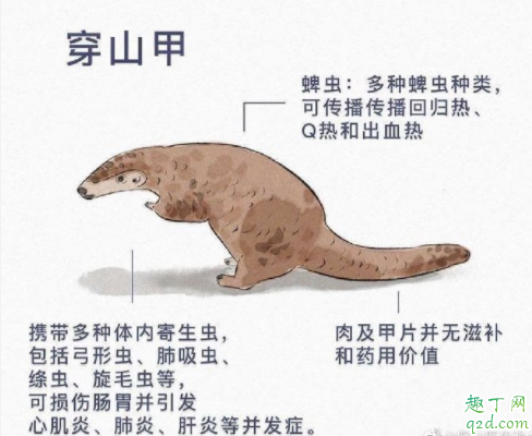野生动物有多少病毒 野生动物如何引发疫情