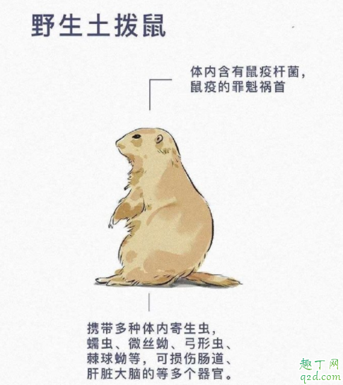 野生动物有多少病毒 野生动物如何引发疫情