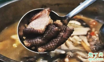 有人爱吃野味是为什么 为什么不能吃野味