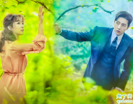韩剧Forest是喜剧还是悲剧 韩剧Forest好不好看