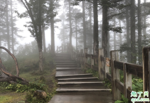 西岭雪山有哪些主要景点 西岭雪山一天怎么玩