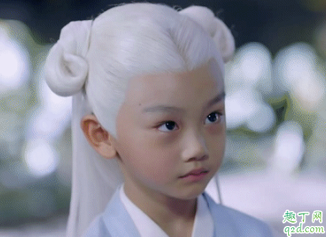 三生三世枕上书白滚滚怎么来的 三生三世枕上书白滚滚哪集出现