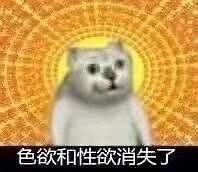 奇怪猫猫头表情包无水印版 最火猫猫头恶搞表情包
