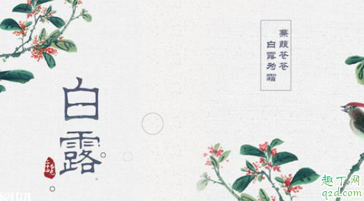 2021年白露是几月几号 2021年白露下雨好不好