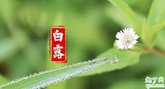 2021年白露是几月几号 2021年白露下雨好不好