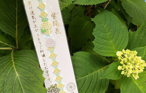 阿佐谷神明宫手链御守怎么戴 阿佐谷神明宫在哪里
