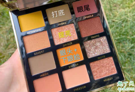 flortte花洛莉亚12色斑马眼影盘试色 flortte斑马盘12色眼影教程