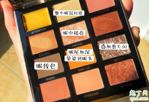 flortte花洛莉亚12色斑马眼影盘试色 flortte斑马盘12色眼影教程