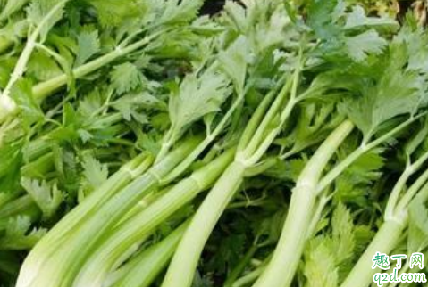 芹菜用焯水吗 吃芹菜哪些事项是要注意的