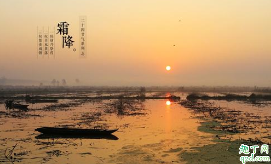 2021年霜降在哪一天 霜降是不是就要下霜了