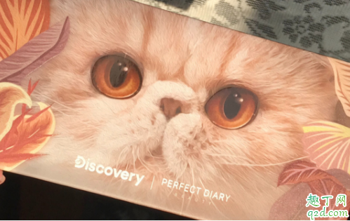 完美日记小猫盘眼影是什么颜色 完美日记新品猫咪盘眼影试色