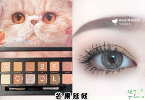 完美日记小猫盘眼影是什么颜色 完美日记新品猫咪盘眼影试色