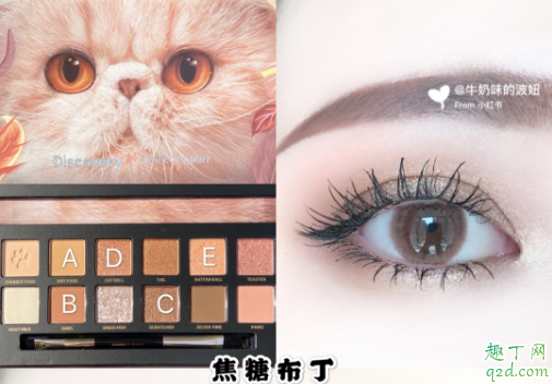 完美日记小猫盘眼影是什么颜色 完美日记新品猫咪盘眼影试色