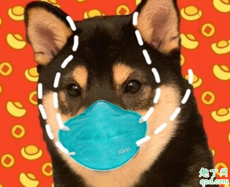 疫情期间可以在小区遛狗吗 疫情期间狗出门要戴口罩吗