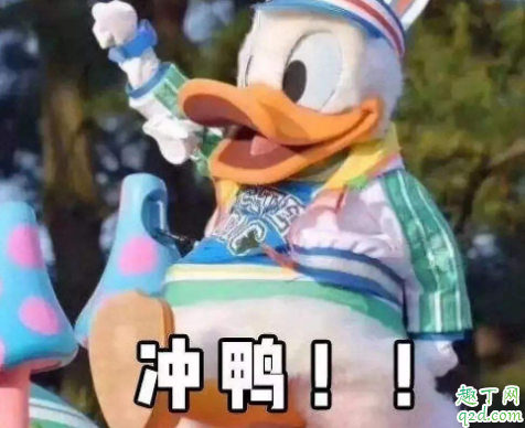 蝗灾鸭子有用吗 鸡鸭吃了蝗虫还能吃吗