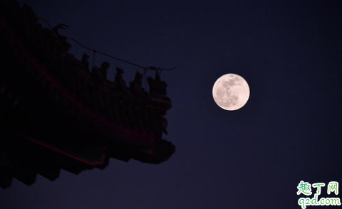 怎么拍建筑物和大月亮 超级大月亮怎么拍的