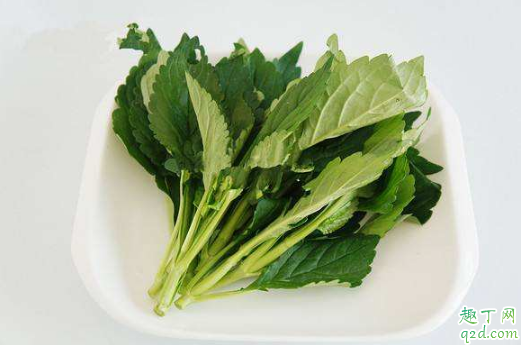 疫情期间可以吃野菜吗 吃野菜会感染新冠病毒吗