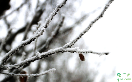 2021小雪是几月几日 小雪节气晴有什么说法