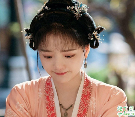 清平乐赵徽柔的生母是谁 赵徽柔真实身份揭秘
