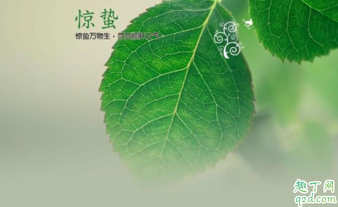 惊蛰哪三样东西要扔掉 为什么惊蛰有人扔咸菜