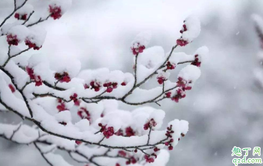 2021年大雪是什么时间 2021年大雪几点开始