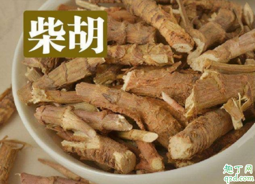中药材柴胡怎样培植 中药材柴胡种子如何处理