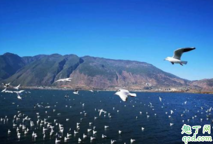 大理游苍山洱海要几天 苍山洱海要不要门票