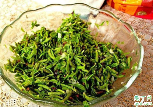 柳树芽可以用来做什么 柳树芽可以怎么吃