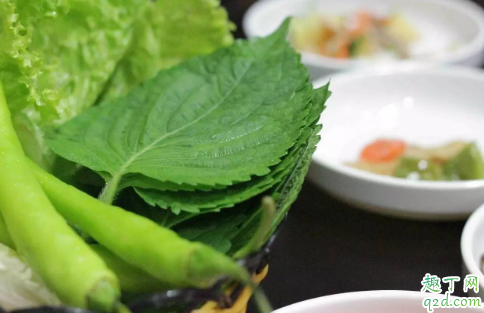 苏子叶能不能食用 食用苏子叶需注意哪些事项