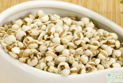 炒薏米泡水可以天天喝吗 炒薏米泡水喝需注意什么