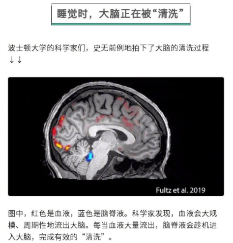 熬夜的新名词什么意思 朋友圈熬夜表情包搞笑图片