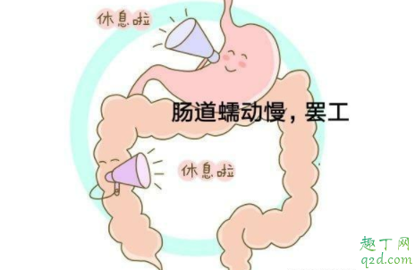 怀孕初期胃胀气咋回事 怀孕初期胃胀气怎么办