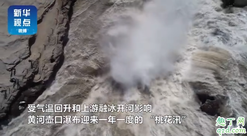 黄河壶口瀑布桃花汛是什么意思 黄河壶口瀑布桃花汛时间