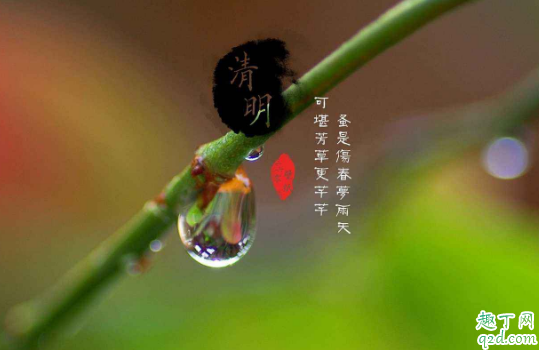 2020清明节可以返乡吗 2020年清明节可以回农村吗
