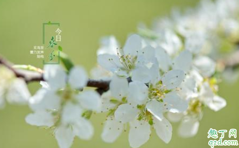 春分下雨是何预兆 春分容易下雨吗