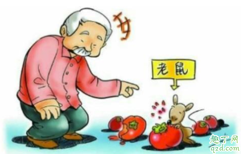 出血热有传染性吗 出血热有疫苗吗