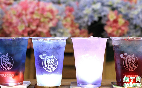 孕妇能不能吃蝶豆花 吃蝶豆花哪些事项是要注意的