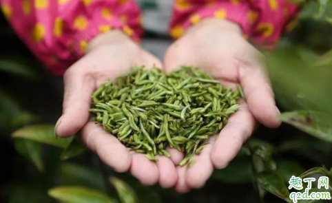 夏天应该喝红茶还是绿茶 夏天喝绿茶会不会上火