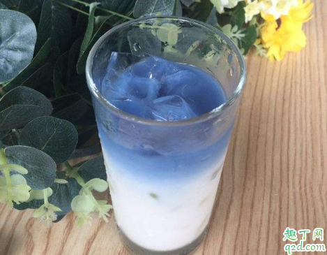 蝶豆花可以变几种颜色 蝶豆花饮料怎么分层