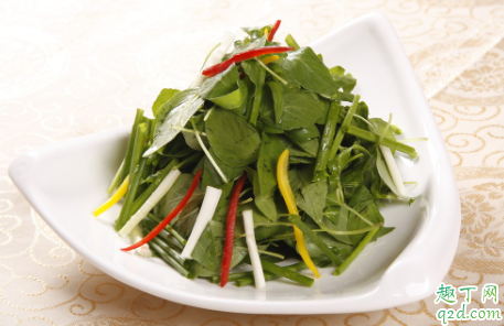 荆芥能否晒干食用 荆芥一天吃多少合适