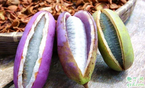 八月瓜好种植吗 种植八月瓜什么时候施肥比较合适