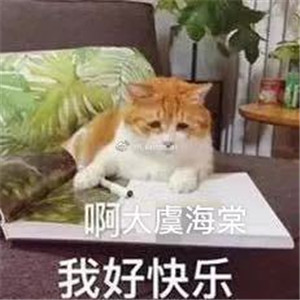 大虞海棠表情包带字 青春有你2虞书欣赵小棠表情包