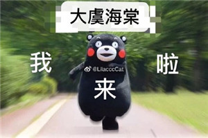 大虞海棠表情包带字 青春有你2虞书欣赵小棠表情包