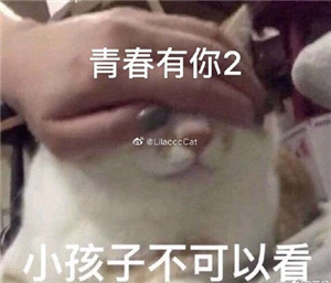 大虞海棠表情包带字 青春有你2虞书欣赵小棠表情包
