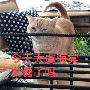 大虞海棠表情包带字 青春有你2虞书欣赵小棠表情包