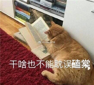 大虞海棠表情包带字 青春有你2虞书欣赵小棠表情包