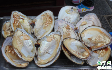河蚌在哪里可以挖到 河蚌为什么煮不烂
