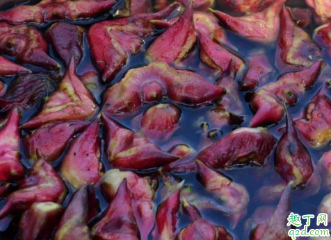 菱角能不能生吃 生吃了菱角怎么补救