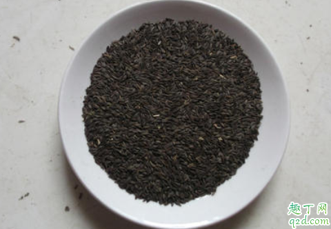 菜籽油会凝固吗 菜籽油变成白色还能食用吗